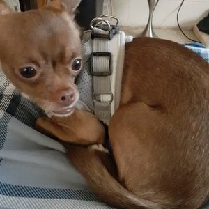 Meet your Posher, Stacy